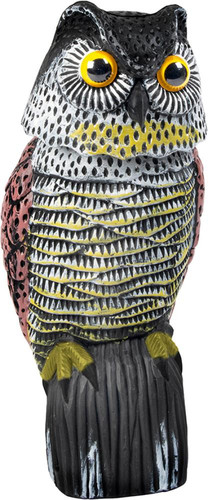 Artikelbild